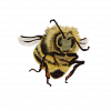 The Bee Team - Printable - Image 6