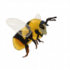 The Bee Team - Printable - Image 2