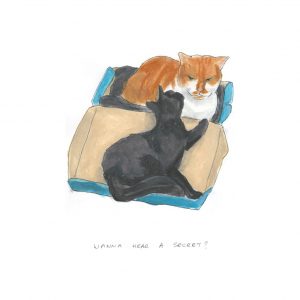 An orange cat sits in a shoebox, while a smaller, black cat leans in close with her head towards his