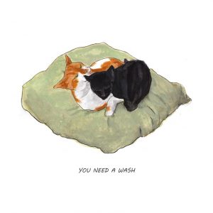 You Need a Wash - A4 Print