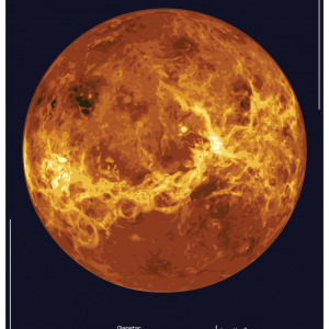 Venus - Info Poster - Print