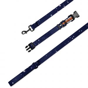 Artemis Pet collar & leash